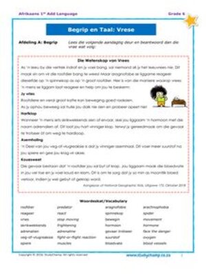 cover image of Grade 6 Afrikaans: Begrip en Taalwerkboek - Vrese